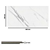 Revêt Wandpaneel SPC Wall (600 x 300 mm, Marbel High Gloss, Hochglänzend) | BAUHAUS