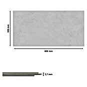 Revêt Wandpaneel SPC Wall (600 x 300 mm, Grey Matt) | BAUHAUS
