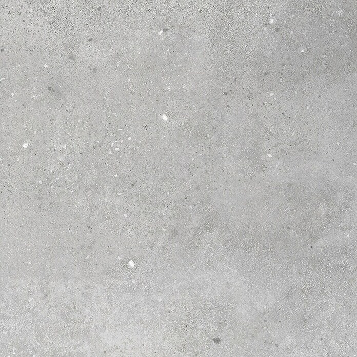 Revêt Wandpaneel SPC Wall (600 x 300 mm, Beton Grau) | BAUHAUS