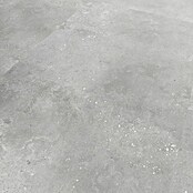 Revêt Wandpaneel SPC Wall (600 x 300 mm, Concrete Matt) | BAUHAUS