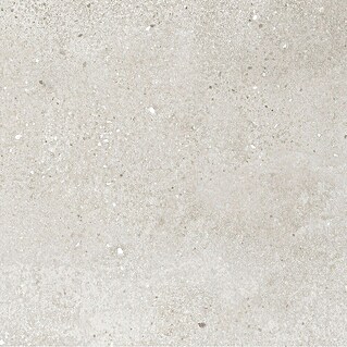 Revêt Wandpaneel SPC Wall (600 x 300 mm, Beige)