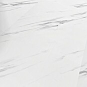 Revêt Wandpaneel SPC Wall (1 200 x 600 mm, Marble High Gloss, Hochglänzend) | BAUHAUS