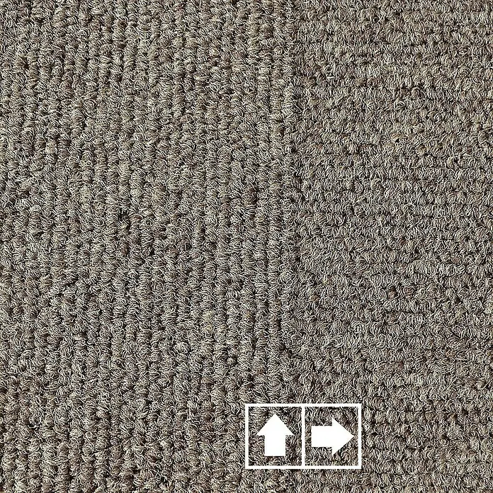 Floordirekt Teppichfliese Lyonn - 50 x 50 cm - 0,25 m² - Beige - Nylon, Beige