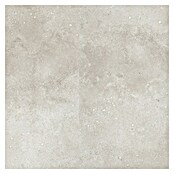Revêt Wandpaneel SPC Wall (1 200 x 600 mm, Beige) | BAUHAUS