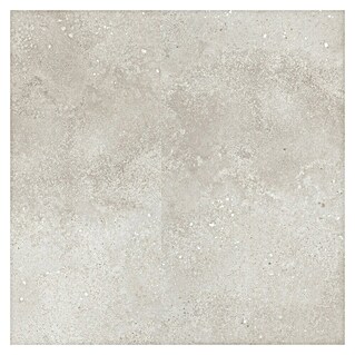 Revêt Wandpaneel SPC Wall (1 200 x 600 mm, Beige)