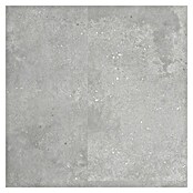 Revêt Wandpaneel SPC Wall (1 200 x 600 mm, Beton Grau) | BAUHAUS