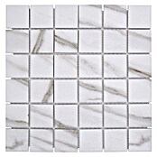 Mozaik pločica Quadrat Calacatta CIM Q48 CT  (30,6 x 30,6 cm, Bijele boje, Mat) | BAUHAUS