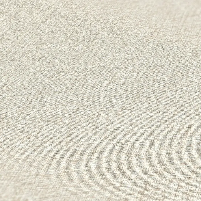 Tadessi Vliestapete M1-No.10983 - Taupe, Uni, 10,05 x 0,53 m