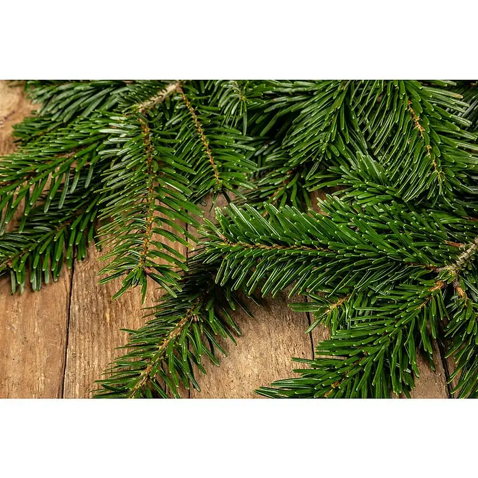 Piardino Nordmann Tannenreisig - Großbund - Frische grüne Tannenzweige auf rustikalem Holzgrund, ideal für weihnachtliche Dekorationen und festliche Stimmung.