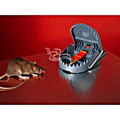 Swissinno Trampa para ratas (Tipo: Trampa para atrapar animales vivos) | BAUHAUS