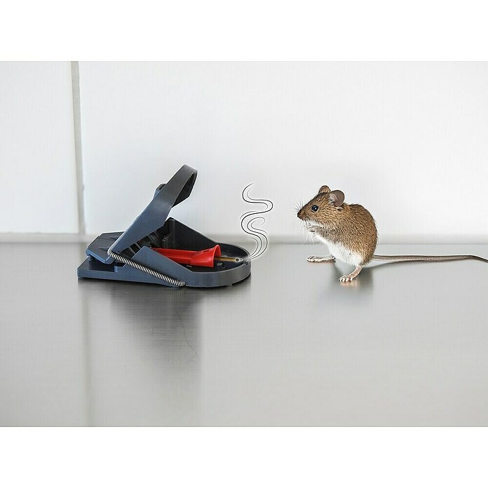 Swissinno Ratonera Supercat Pro (Trampa para atrapar animales vivos) | BAUHAUS