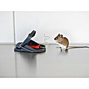 Swissinno Ratonera Supercat Pro (Trampa para atrapar animales vivos) | BAUHAUS