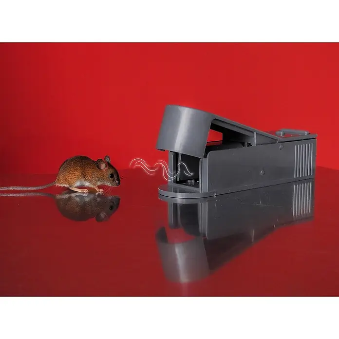 Swissinno SuperCat Ratonera - Trampa para atrapar animales vivos, Plástico - Un pequeño ratón frente a una ratonera electrónica sobre una superficie roja. La trampa está activada y lista.