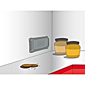 Swissinno Natural Control Trampa para parásitos (2 uds., Placa adhesiva)