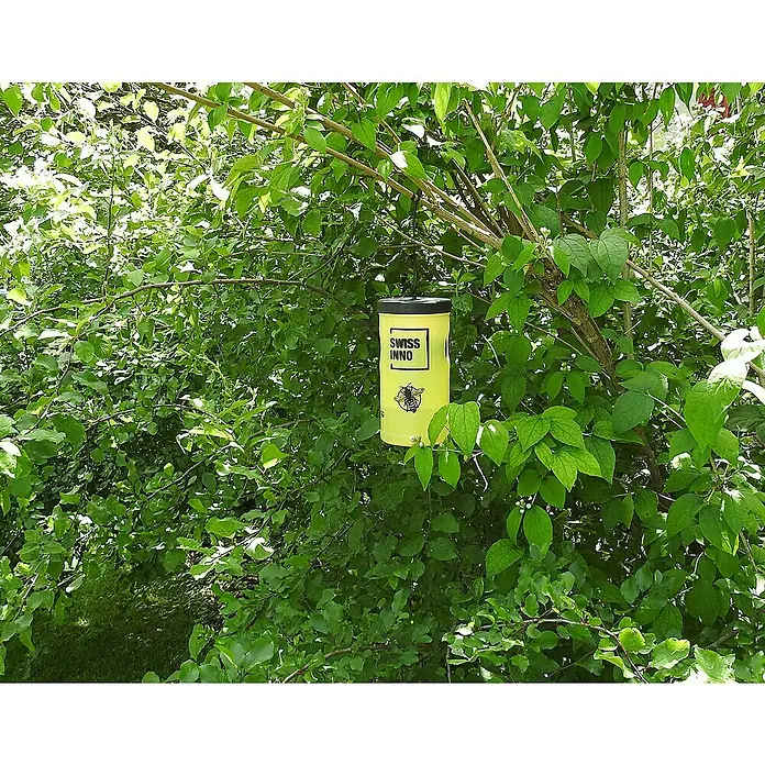 Swissinno Natural Control Cebo de recambio - Avispas, 2 ud. - Primer plano de una trampa para avispas Swissinno amarilla colgada de un árbol, que atrae a las avispas de forma eficaz.