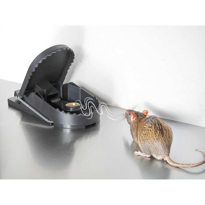 Trampa para ratas Supercat grande (Trampa de resorte, Plástico)