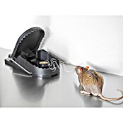 Trampa para ratas Supercat grande (Trampa de resorte, Plástico)