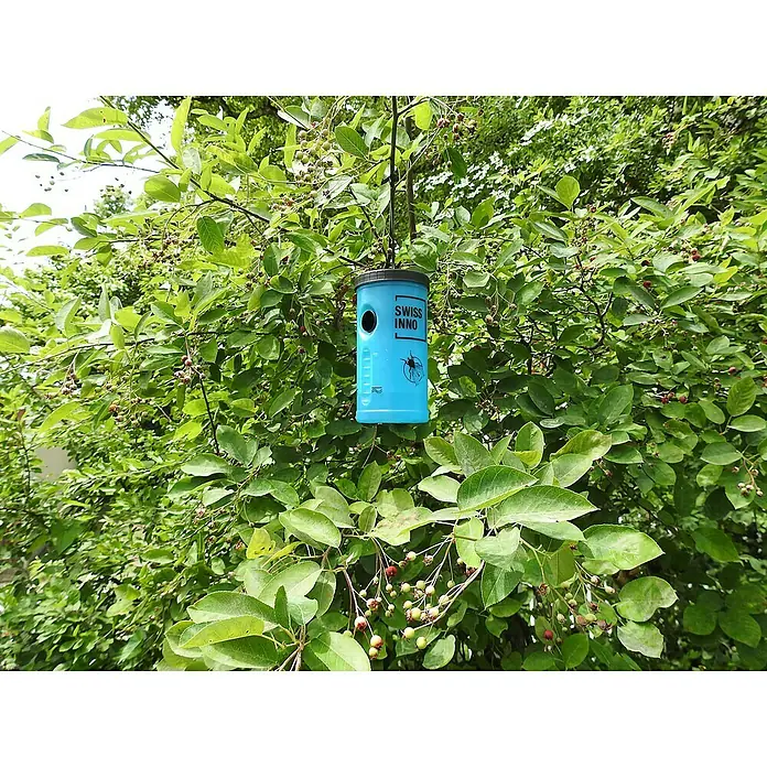 Swissinno Cebo de recambio para moscas - 2 ud. - Primer plano de una trampa azul Swiss Inno colgada de un árbol, diseñada para el control natural de insectos.