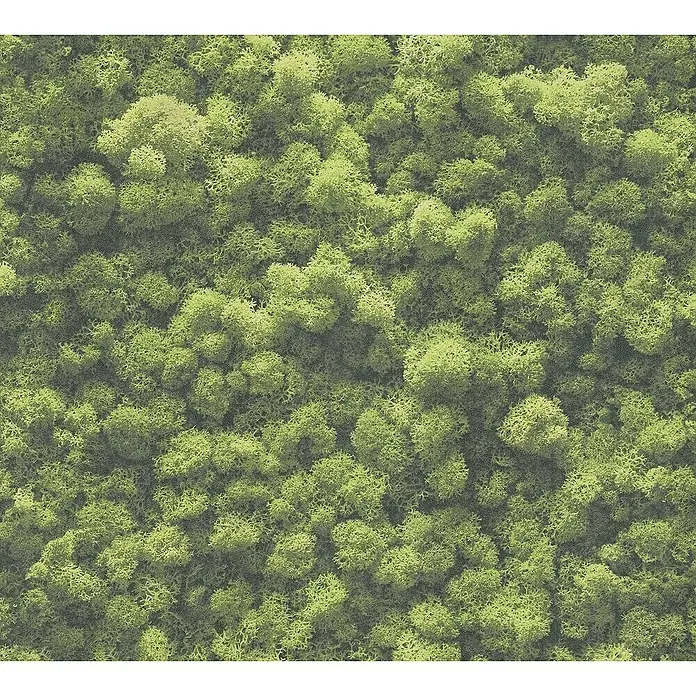 Tadessi Vliestapete M1-No.11271 - Grün, Floral, 10,05 x 0,53 m