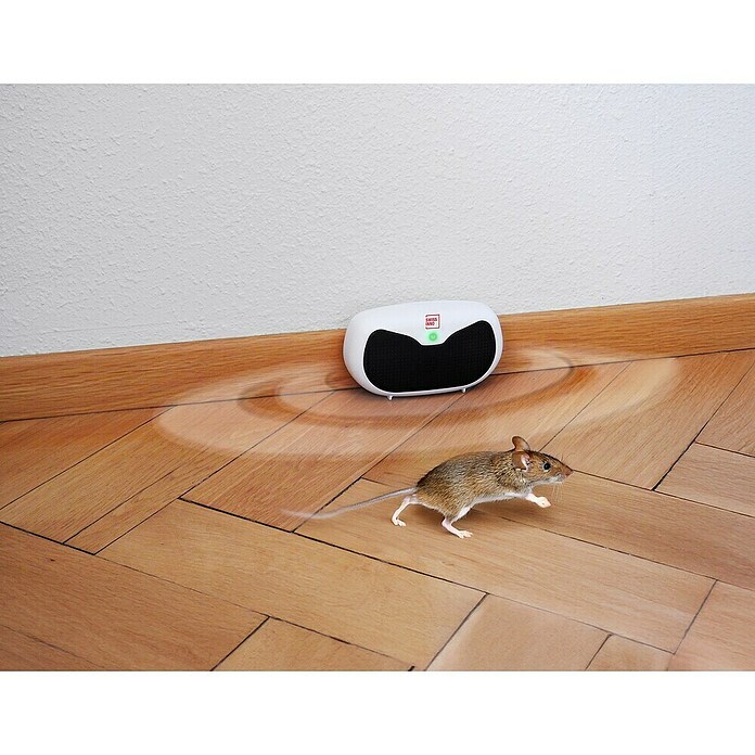 Swissinno Ahuyentador de roedores Ultrasónico (Rendimiento térmico: 20 m², Blanco)