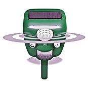 Swissinno Ultrasonido ahuyentador de animales Repeller Pro (Rendimiento térmico: 100 m²)