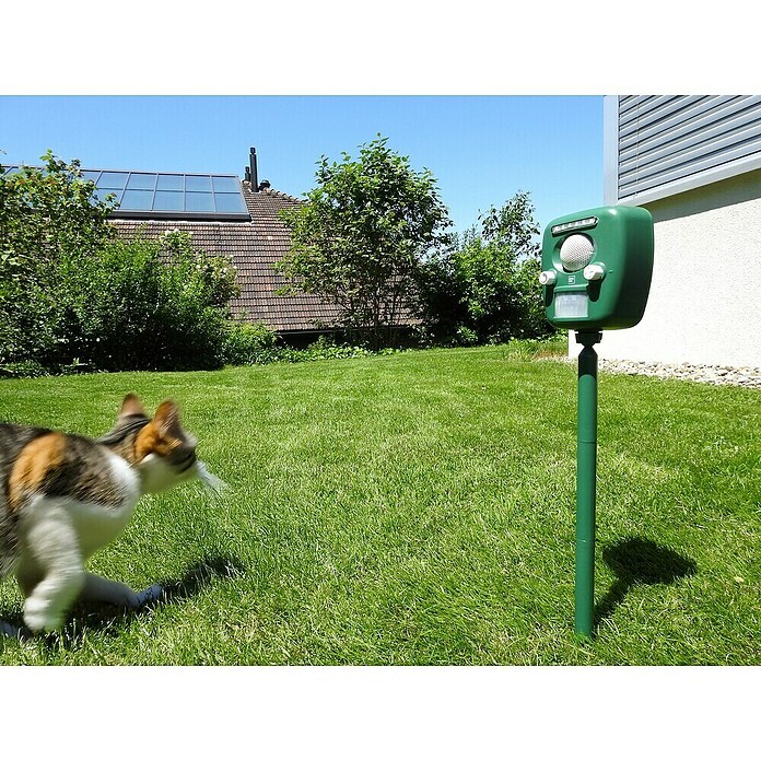 Swissinno Ultrasonido ahuyentador de animales Repeller Pro (Rendimiento térmico: 100 m²)