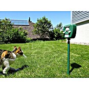 Swissinno Ultrasonido ahuyentador de animales Repeller Pro (Rendimiento térmico: 100 m²)