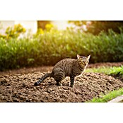 Swissinno Ultrasonido ahuyentador de animales Repeller Pro (Rendimiento térmico: 100 m²)