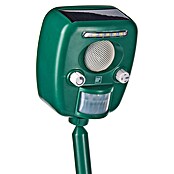 Swissinno Ultrasonido ahuyentador de animales Repeller Pro (Rendimiento térmico: 100 m²)
