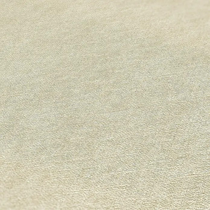 Tadessi Vliestapete M1-No.11120 - Grau, Uni, 10,05 x 0,53 m