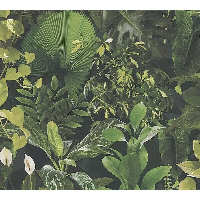Tadessi Vliestapete M1-No.11293 - Schwarz, Floral, 10,05 x 0,53 m