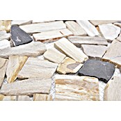 Mozaik pločica (30,5 x 30,5 cm, Smeđa/bež, Mat)