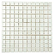 Mozaik pločica Quadrat Uni GM AS 1010  (31,7 x 31,7 cm, Bijele boje, Mat) | BAUHAUS