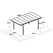 Ximax Carport Eco (Außenmaß inkl. Dachüberstand (B x T): 3 x 5,03 m, Einzelcarport, Anthrazit) | BAUHAUS
