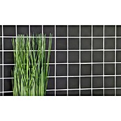 Mozaik pločica Quadrat Uni CD 172  (29,8 x 29,8 cm, Sive boje, Mat) | BAUHAUS