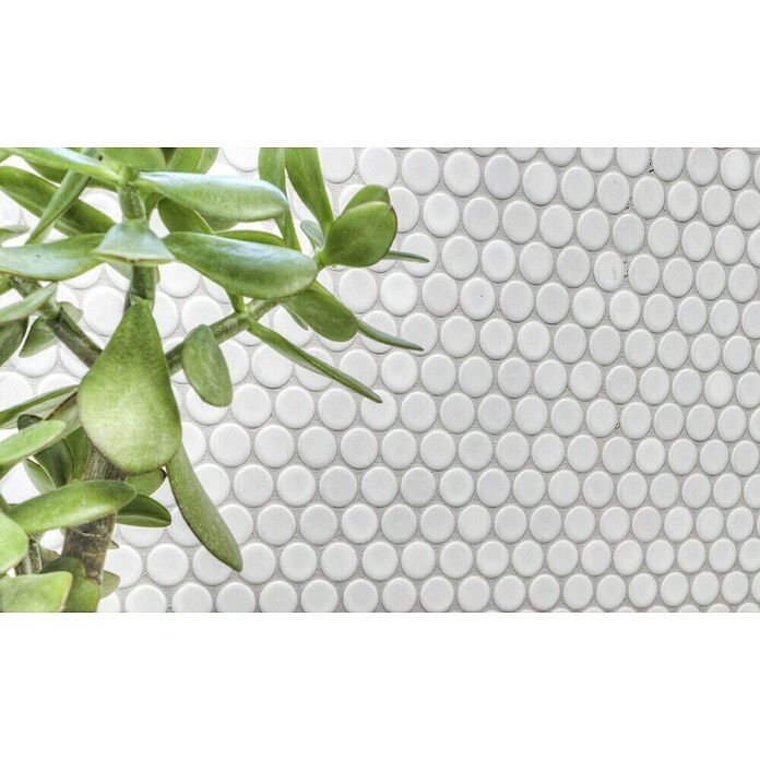 Mozaik pločica Knopf Uni 110N  (30,5 x 32 cm, Bijele boje, Mat) | BAUHAUS