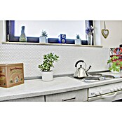 Mozaik pločica Knopf Uni 110N  (30,5 x 32 cm, Bijele boje, Mat) | BAUHAUS
