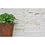 Mozaik pločica Golden Cream MOS BRICK 2807  (30,5 x 32,2 cm, Cream, Mat) | BAUHAUS