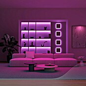 Calex Led-strip Smart (Lengte: 5 m, Lichtkleur: Meerkleurig, 1.200 lm, 12 V) | BAUHAUS