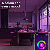 Calex Led-strip Smart (Lengte: 5 m, Lichtkleur: Meerkleurig, 1.200 lm, 12 V) | BAUHAUS