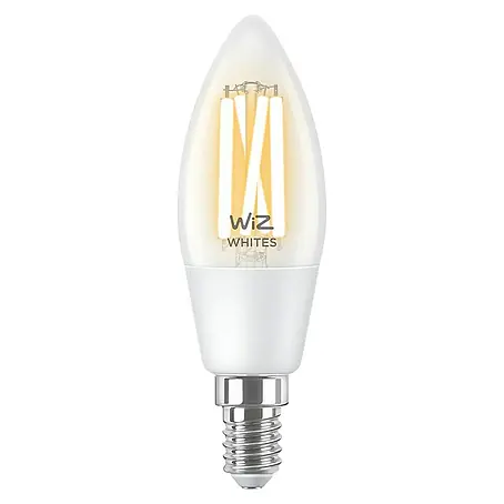 Philips Wiz Smart-LED-Lampe