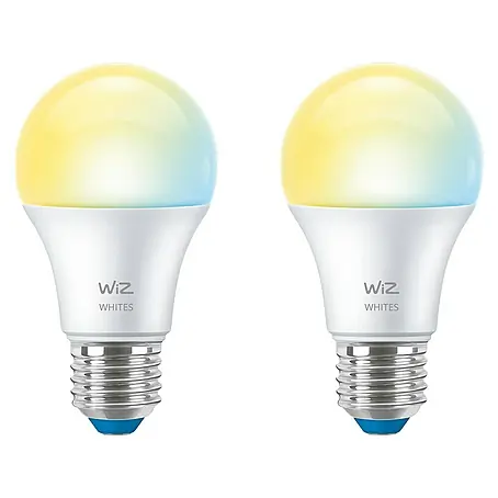 Philips Wiz Smart-LED-Lampe matter