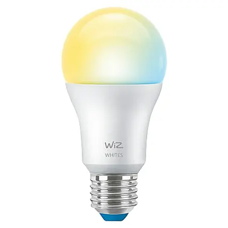 Philips Wiz Smart-LED-Lampe