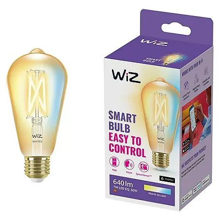 Philips Wiz Smart-LED-Lampe