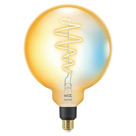Philips Wiz Smart-LED-Lampe matter