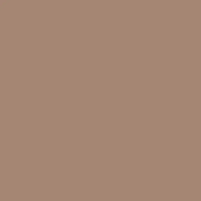 Clou Aqua Holzpaste - Erle, 60 g - Einfarbiger Hintergrund in einem warmen Braunton, ideal für minimalistische Designs und Textüberlagerungen.\n