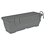 Nosač žardinjera za cvijeće Sonja  (D x Š x V: 63 x 20 x 13 cm, Crna, Metal) | BAUHAUS