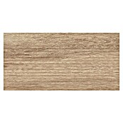 Cersanit Zidna pločica Shiny Nature  (59,8 x 29,8 cm, Bronca) | BAUHAUS