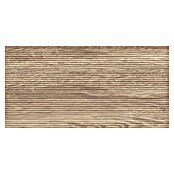 Cersanit Zidna pločica Shiny Nature  (59,8 x 29,8 cm, Bronca) | BAUHAUS