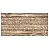 Cersanit Zidna pločica Shiny Nature  (59,8 x 29,8 cm, Bronca) | BAUHAUS